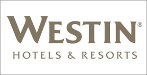 Hotels in India